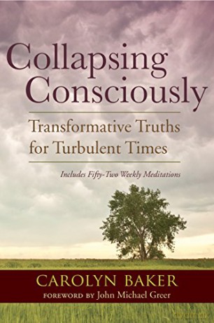Collapsing Consciously: Transformative Truths for Turbulent Times Sacred Activism: 3 - Carolyn Baker Ph.D. [KSIĄŻKA]
