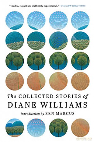 Collected Stories of Diane Williams, The - Diane Williams [KSIĄŻKA]
