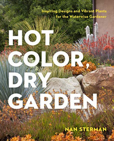 Hot Color, Dry Garden: Inspiring Designs And Vibrant Plants For The Waterwise Gardener - Nan Sterman [KSIĄŻKA]
