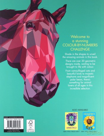 Colourmetrics: A Geometric Colour by Numbers Challenge - Max Jackson [KSIĄŻKA]