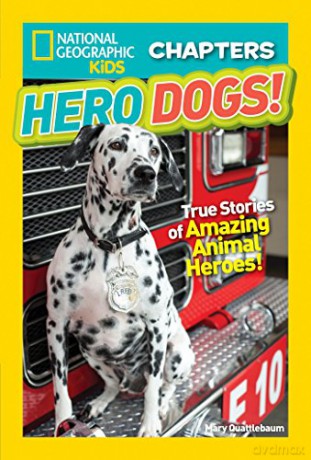 National Geographic Kids Chapters: Hero Dogs (Ngk Chapters): True Stories Of Amazing Animal Heroes! - Mary Quattlebaum [KSIĄŻKA]