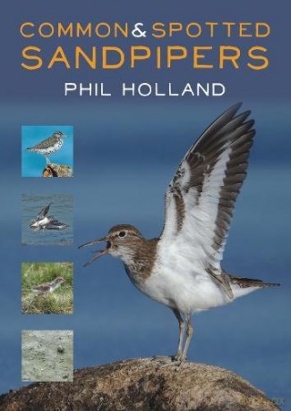 Common and Spotted Sandpipers - Phil Holland [KSIĄŻKA]