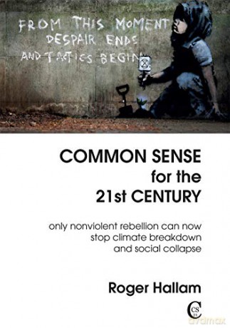 Common Sense for the 21st Century: Only Nonviolent Rebellion Can Now Stop Climate Breakdown and Social Collapse - Roger Hallam [KSIĄŻKA]