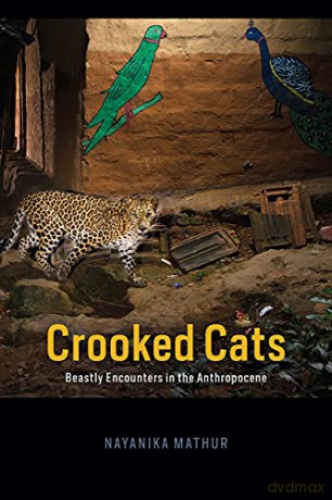 Crooked Cats: Beastly Encounters in the Anthropocene Animal Lives - Nayanika Mathur [KSIĄŻKA]