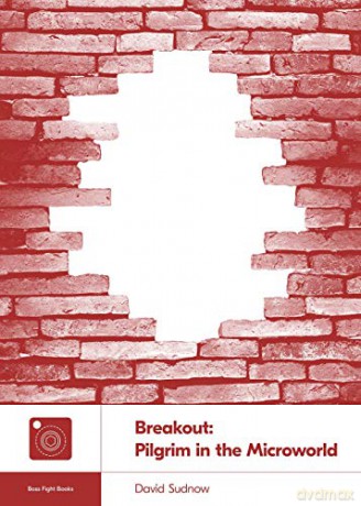 Breakout (Boss Fight Books): Pilgrim In The Microworld: 21 - David Sudnow [KSIĄŻKA]