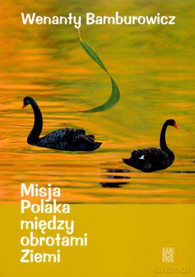 Misja Polaka Między Obrotami Ziemi - Wenanty Bamburowicz [KSIĄŻKA]