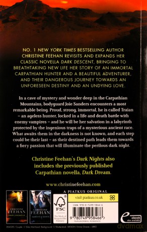 Dark Nights - Christine Feehan [KSIĄŻKA]