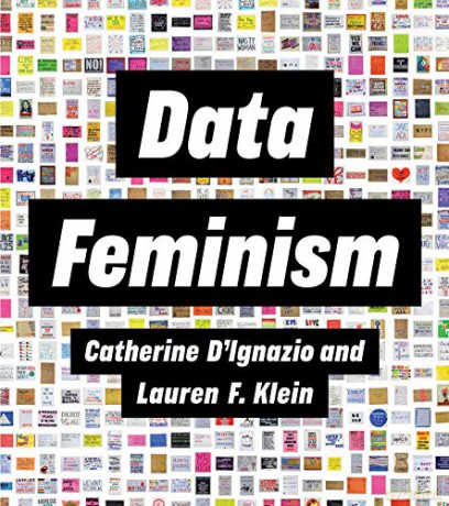 Data Feminism Strong Ideas - Catherine D`ignazio [KSIĄŻKA]