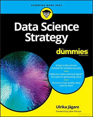 Data Science Strategy For Dummies - Jgare [KSIĄŻKA]