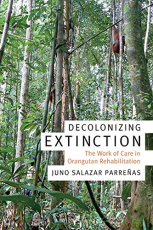 Decolonizing Extinction: The Work of Care in Orangutan Rehabilitation Experimental Futures - Juno Salazar Parrenas [KSIĄŻKA]