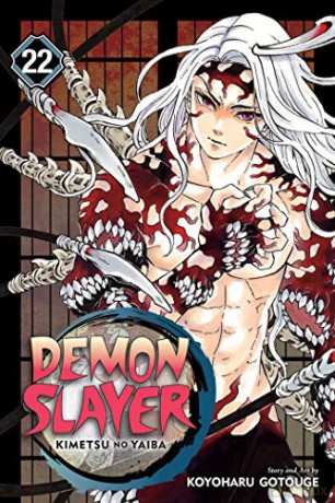 Demon Slayer: Kimetsu no Yaiba, Vol. 22: Volume 22 - Koyoharu Gotouge [KSIĄŻKA]