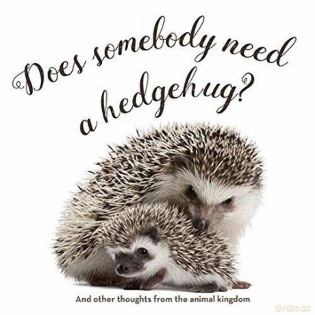 Does Somebody Need a Hedgehug [KSIĄŻKA]