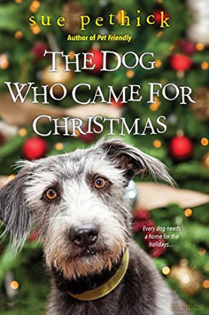 Dog Who Came for Christmas - Sue Pethick [KSIĄŻKA]