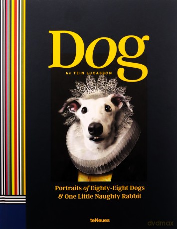 Dog: Portraits of Eighty-Eight Dogs and One Little Naughty Rabbit Photography - Tein Lucasson [KSIĄŻKA]