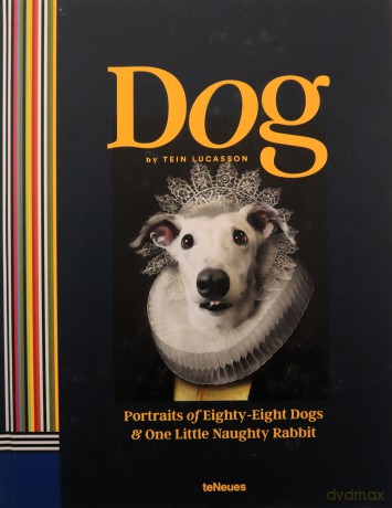 Dog: Portraits of Eighty-Eight Dogs and One Little Naughty Rabbit Photography - Tein Lucasson [KSIĄŻKA]