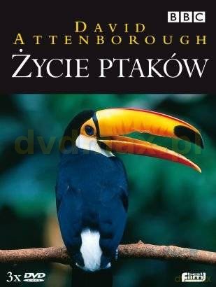 Życie ptaków (BBC) [BOX] [3DVD]