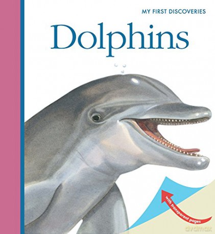 Dolphins My First Discoveries - Sylvaine Peyrols [KSIĄŻKA]