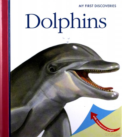 Dolphins My First Discoveries - Sylvaine Peyrols [KSIĄŻKA]