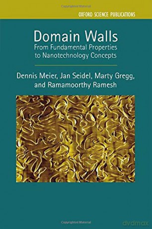 Domain Walls: From Fundamental Properties to Nanotechnology Concepts: 24 Series on Semiconductor Science and Technology - Dennis Meier [KSIĄŻKA]