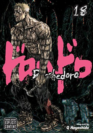 Dorohedoro Volume 18 - Q Hayashida [KSIĄŻKA]