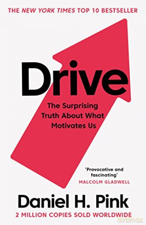 Drive: The Surprising Truth About What Motivates Us - Daniel H. Pink [KSIĄŻKA]