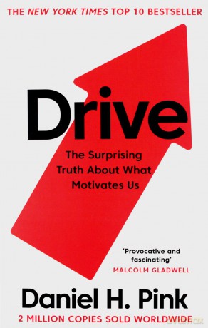 Drive: The Surprising Truth About What Motivates Us - Daniel H. Pink [KSIĄŻKA]