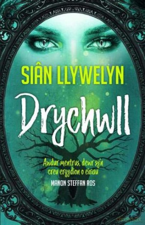 Drychwll - Sian Llywelyn [KSIĄŻKA]