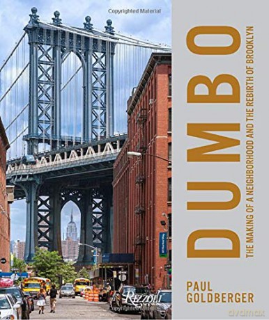 DUMBO: The Making of a New York Neighbourhood: The Making of a New York Neighborhood - Paul Goldberger [KSIĄŻKA]