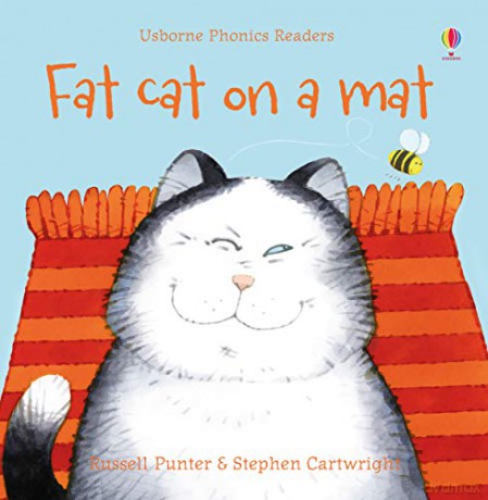 Fat Cat On A Mat (Phonics Readers): 1 - Russell Punter [KSIĄŻKA]