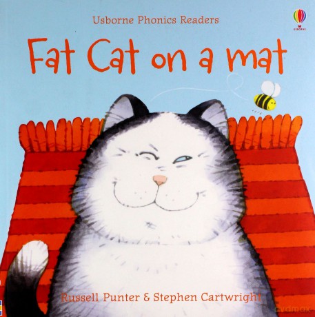 Fat Cat On A Mat (Phonics Readers): 1 - Russell Punter [KSIĄŻKA]