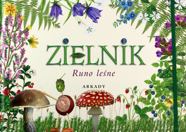 Zielnik Runo Leśne (twarda) [KSIĄŻKA]