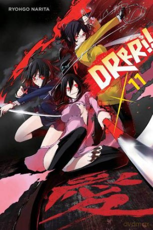 Durarara!!, Vol. 11 light novel Durarara!! Novel - Ryohgo Narita [KSIĄŻKA]