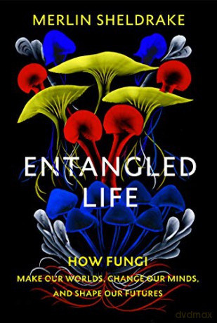 Entangled Life: How Fungi Make Our Worlds, Change Our Minds And Shape Our Futures - Merlin Sheldrake [KSIĄŻKA]