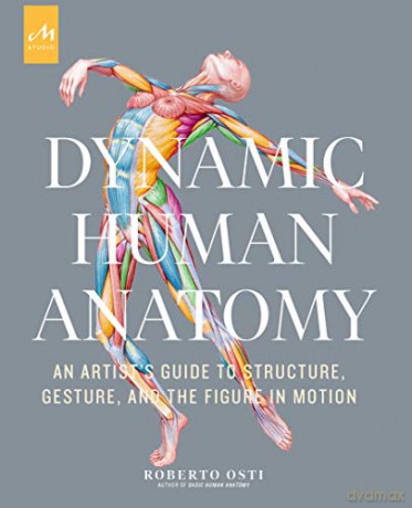 Dynamic Human Anatomy: An Artist's Guide to Structure, Gesture, and the Figure in Motion - Roberto Osti [KSIĄŻKA]
