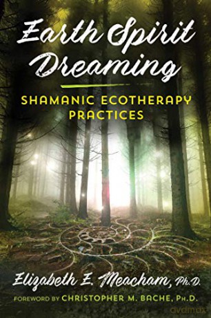 Earth Spirit Dreaming: Shamanic Ecotherapy Practices - Elizabeth E. Meacham [KSIĄŻKA]