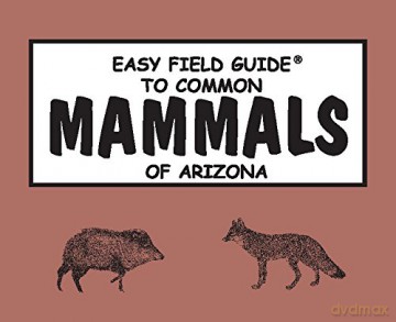 Easy Field Guide to Common Mammals of Arizona Easy Field Guides - Sharon Nelson [KSIĄŻKA]