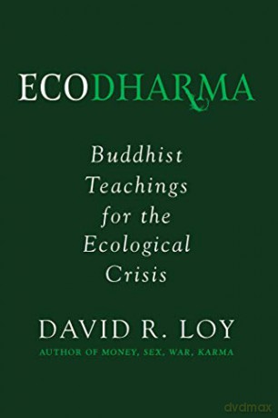 Ecodharma: Buddhist Teaching for the Precipice - David Loy [KSIĄŻKA]