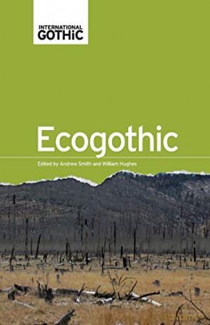 Ecogothic International Gothic Series - Andrew Smith [KSIĄŻKA]