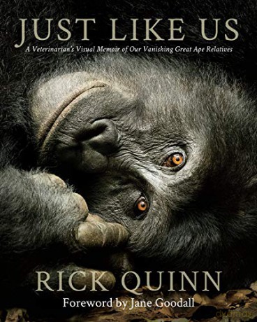 Just Like Us: A Veterinarian'S Visual Memoir Of Our Vanishing Great Ape Relatives - Dr. Rick Quinn [KSIĄŻKA]