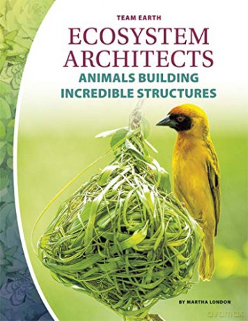 Ecosystem Architects Team Earth - Martha London [KSIĄŻKA]
