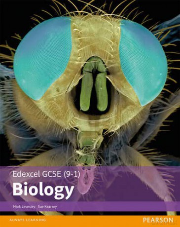 Edexcel GCSE 9-1 Biology Edexcel 9-1 GCSE Science 2016 - Mark Levesley [KSIĄŻKA]