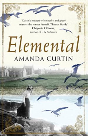 Elemental - Amanda Curtin [KSIĄŻKA]