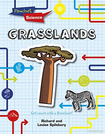 Grasslands (Flowchart Science: Habitats And Ecosystems) - Richard Spilsbury [KSIĄŻKA]