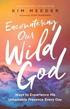 Encountering Our Wild God: Ways to Experience His Untamable Presence Every Day - Kim Meeder [KSIĄŻKA]