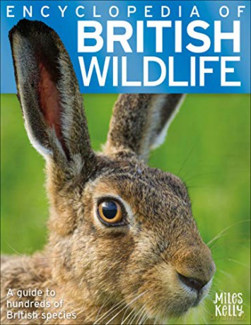 Encyclopedia of British Wildlife - Miles Kelly [KSIĄŻKA]