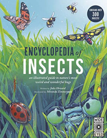 Encyclopedia of Insects: 1 - Mr. Jules Howard [KSIĄŻKA]