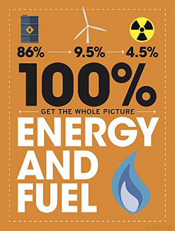 Energy and Fuel 100% Get the Whole Picture - Paul Mason [KSIĄŻKA]