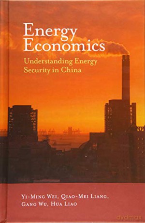 Energy Economics: Understanding Energy Security in China - Yi-Ming Wei [KSIĄŻKA]