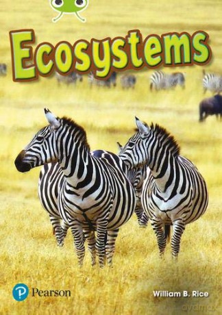 Bug Club Independent Non Fiction Year Two Lime Plus A Ecosystems - William Rice [KSIĄŻKA]