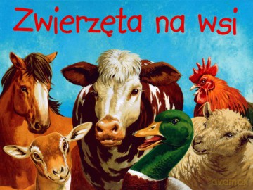 Zwierzęta Na Wsi (twarda) [KSIĄŻKA]